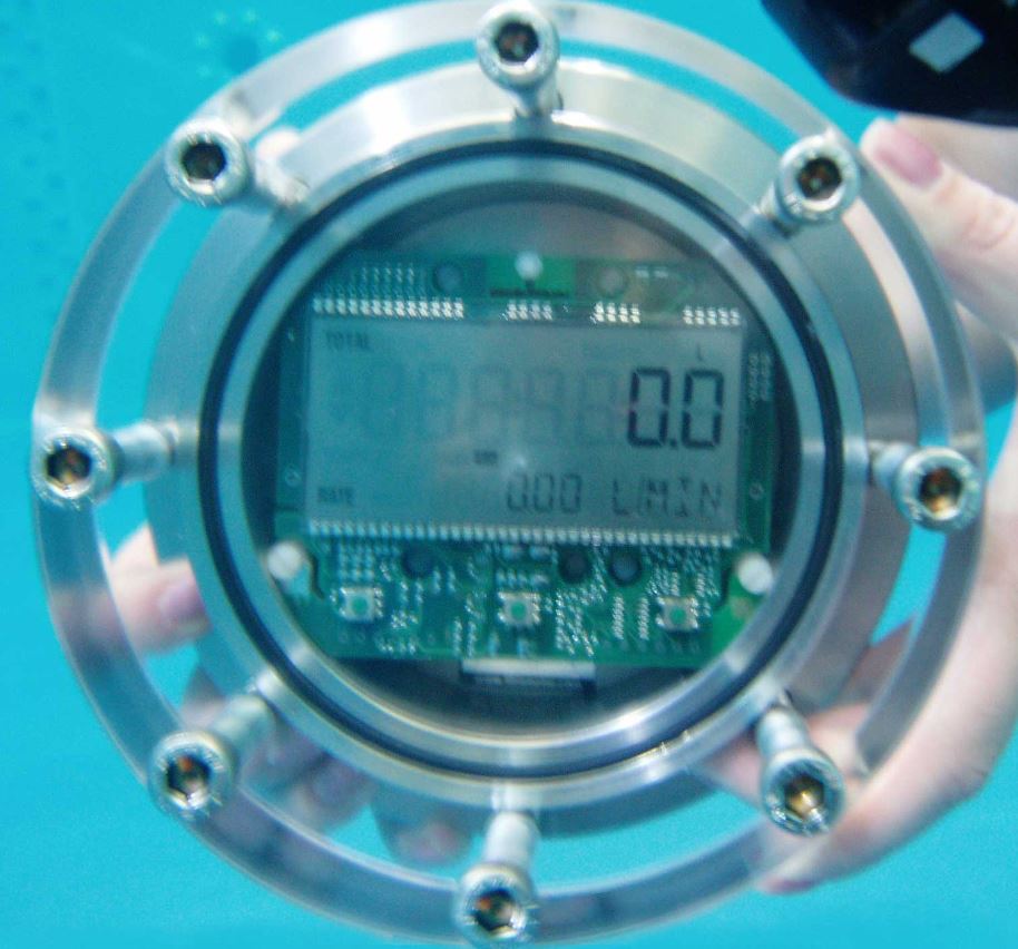 Subsea flowmeter